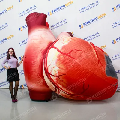 Сердце человека 4К, супер реалистично» — создано в Шедевруме