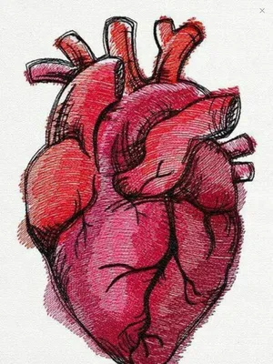 Сердце человека из розово-белого …» — создано в Шедевруме