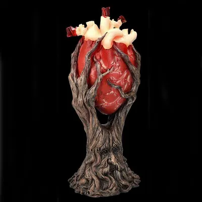 Рисунок Анатомия Сердце Схема, сердце, сердце, анатомия, живопись png |  PNGWing