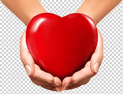 Сердце Руки Романтичный - Бесплатное фото на Pixabay - Pixabay