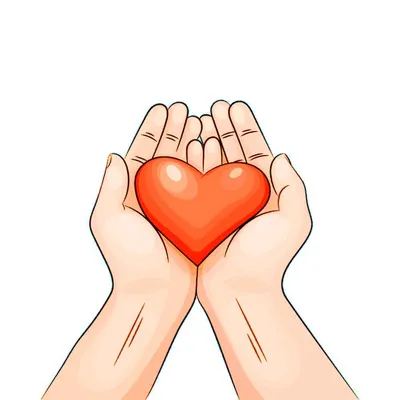 Рука Человека Держащая Сердце На Ладони Вид Сбоку — стоковые фотографии и  другие картинки Вертикальный - iStock
