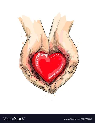 Сердце на ладони ` S женщины Стоковое Изображение - изображение  насчитывающей концепция, сердце: 33913641