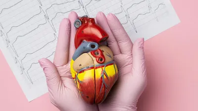 Сердце в женских руках стоковое фото. изображение насчитывающей здоровье -  29096624