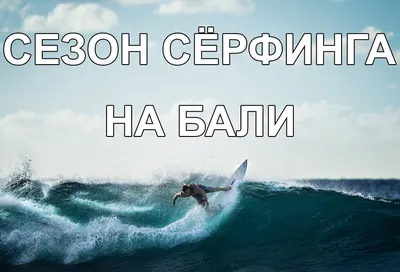 Серфинг на Балтике для новичков и опытных 🧭 цена тура 65000 руб., отзывы,  расписание туров по Калининградской области