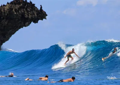 Сёрфинг на Мальдивах | SURF BROTHERS Сколково