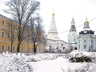 Организованная экскурсия в Сергиев Посад с местным гидом.