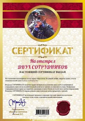 Сертификат на 3000 руб. | Wool Story