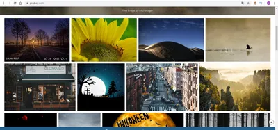 5 отличных сайтов где можно брать бесплатные картинки и видео фрагменты для  ваших проектов. | Другие Правила | Дзен