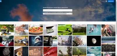 Где взять картинки для сайта: 125 бесплатных и 20 платных фотостоков -  обзор, особенности, цены - полный гайд по картинкам для веб-дизайна -  WebValley