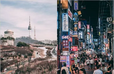 Обои на рабочий стол Весенние цветение и вид на небоскреб в Сеуле / Seoul,  Южная Корея / South korea, обои для рабочего стола, скачать обои, обои  бесплатно