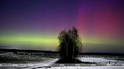 Когда можно увидеть северное сияние в Карелии: фото | Большая Страна