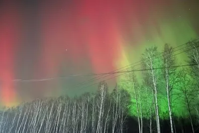 Невероятно красивое северное сияние увидели в Алтайском крае. Фото