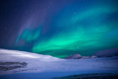 Арктический совет предсказал, когда появится морской путь через Северный  полюс | ForPost