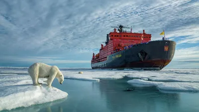 Китайских туристов повезут на Северный полюс на российском атомоходе - РИА  Новости, 27.10.2023