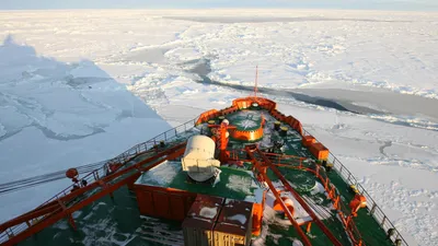 Экспедиция на Северный полюс: как попасть на такой круиз, экскурсия на  ледоколе среди снегов, интересные места региона — Яндекс Путешествия