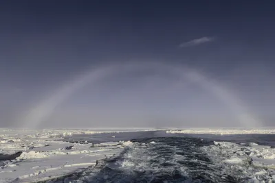Что нужно знать участнику экспедиции на Северный Полюс | Северный Полюс |  VICAAR