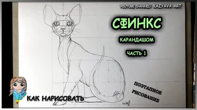 Кошки-сфинксы: заведи себе хвостатого инопланетянина! (фото) - tochka.net