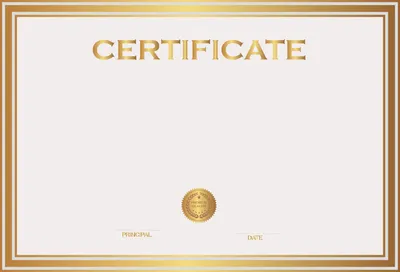 Готовые шаблоны подарочных сертификатов от дизайнеров Vigbo - Vigbo - Лента  обновлений