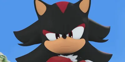 https://www.thegamer.com/sonic-shadow-the-hedgehog-best-character-designs/