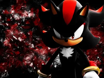 Shadow the Hedgehog | Sonic World Wiki | Fandom