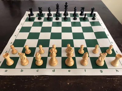 Шахматная силиконовая доска без фигур 51*51 см, черный