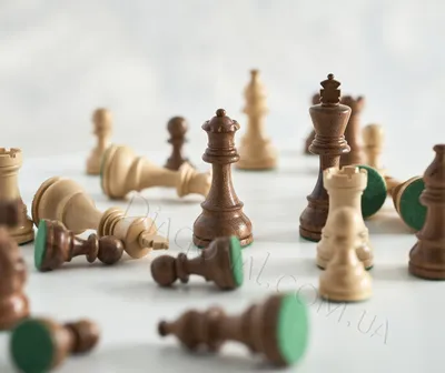 Шахматные фигуры - самый огромный выбор в Специализированном магазине  Diagonal.com.ua