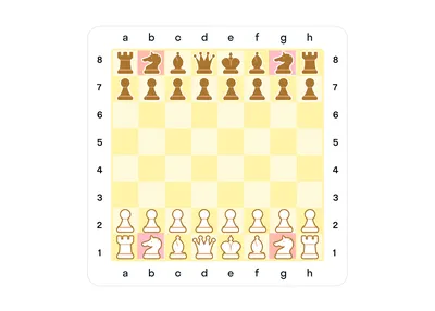 Шахматные фигуры — название, ценность и примеры
