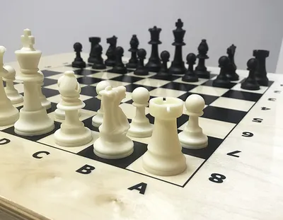 Купить настенную игру «2 в 1 Шашки + шахматы» в интернет-магазине \"Умничка\"