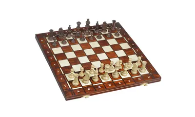 Шахматы TQ09172 деревянные, 3 в 1 шахматы, шашки, нарды, 29-29см: купить  Настольные игры BabyToys в Украине
