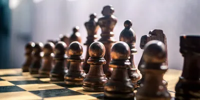 Казахстанский гамбит: как финансируются шахматы в РК?
