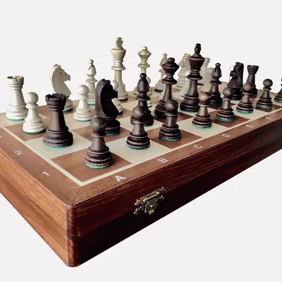 Шахматы войны | сайт Института Царьграда