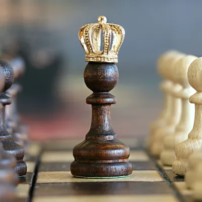 Шахматы и шашки | Купить настольную игру в магазинах Мосигра