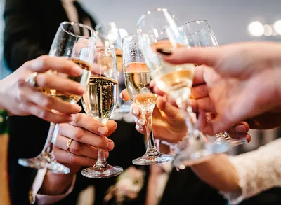 Серовский Роспотребнадзор рассказывает, как и какое шампанское выбрать на  Новый год | Блоги | СеровГлобус.ру
