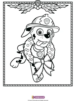 Раскраски мега щенки щенячий патруль скай (48 фото) » Картинки, раскраски и  трафареты для всех - Klev.CLUB