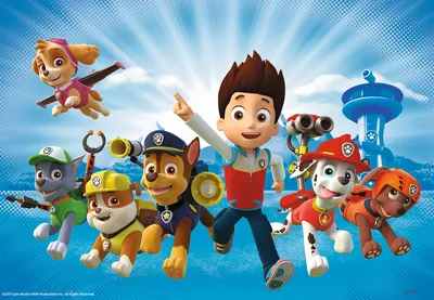 Летающий Щенячий Патруль купить Набор 8 героев (Paw patrol) в СПб |  Интернет-магазин детских игрушек по выгодным ценам Bimkid.ru