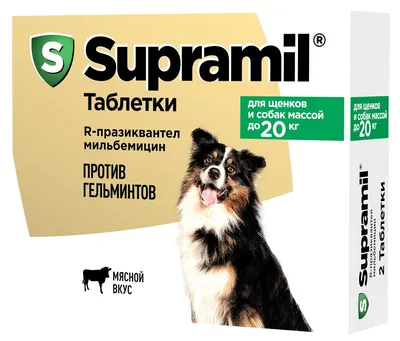 Суспензия Пазител от глистов для щенков и собак мелких пород - купить с  доставкой по выгодным ценам в интернет-магазине OZON (159261328)