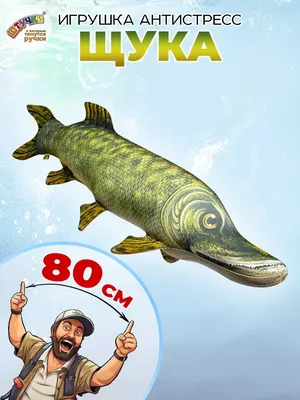 Щука свежемороженая 7 кг + купить в Москве по цене 0 руб. – FROST FISH