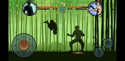 Shadow Fight 2 Review | Switch Player