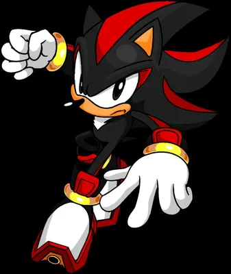 𝙎𝙝𝙖𝙙𝙤𝙬 𝘽𝙤𝙤𝙢 𝙞𝙘𝙤𝙣 | Shadow the hedgehog, Shadow and amy, Sonic  art