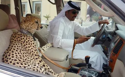 Самые дорогие автомобили арабских шейхов