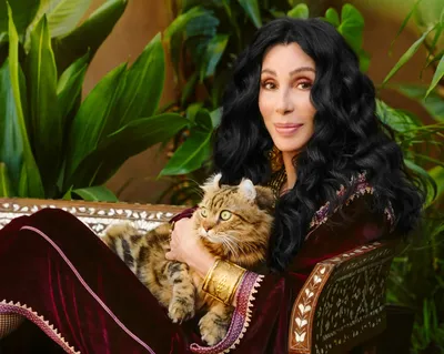 Cher reacts to Rock and Roll Hall of Fame snub, would not join now