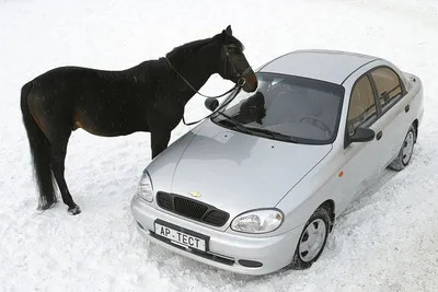 Купить б/у Chevrolet Lanos, I Бензин Механическая в Оренбурге, Синий Седан  4-дверный 2008 года по цене 173 000 руб., 3658221 на Автокод Объявления