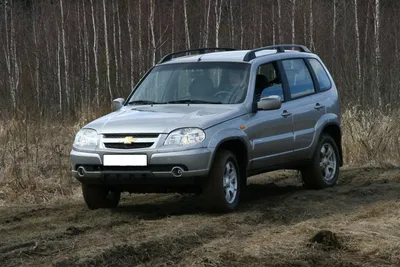 8 проблем, о которых надо знать покупателю подержанной Chevrolet Niva -  читайте в разделе Разбор в Журнале Авто.ру