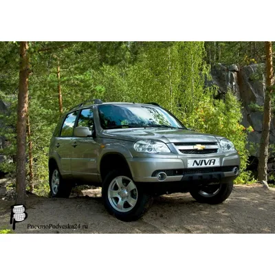 Chevrolet Niva 1.7 бензиновый 2013 | БЕЛАЯ ЗАЯ на DRIVE2