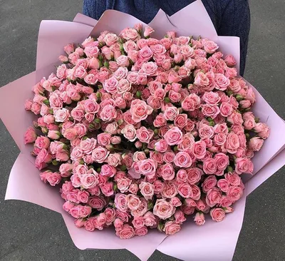 Букеты роз на 14 февраля День святого Валентина | купить недорого с  доставкой на Roza4u.ru