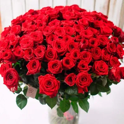 Заказать шикарный букет белых роз FL-2556 купить - хорошая цена на шикарный  букет белых роз с доставкой - FLORAN.com.ua