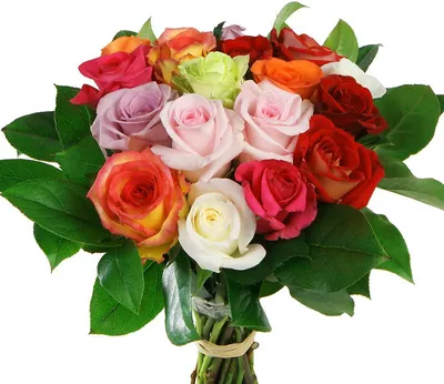 Купить Букет розы, силикон, белые и розовые по выгодной цене в  интернет-магазине OZON.ru (243591184)