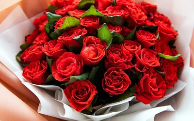 Купить букет из гвоздик и роз в Москве | Centre-Flower