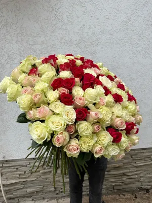 Шикарный букет красных роз купить в Краснодаре с доставкой