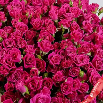 Шикарный большой букет роз в светлом оформлении купить в Краснодаре с  доставкой